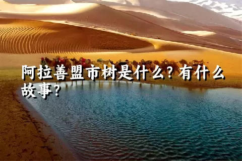 阿拉善盟市树是什么？有什么故事？