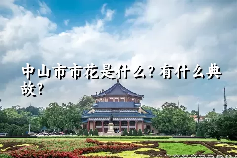 中山市市花是什么？有什么典故？