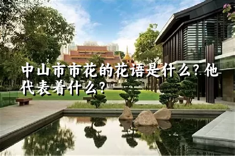 中山市市花的花语是什么？他代表着什么？