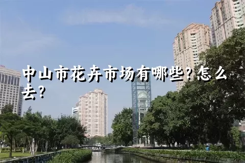 中山市花卉市场有哪些？怎么去？