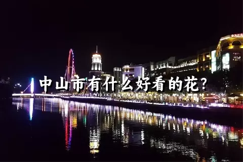 中山市有什么好看的花？