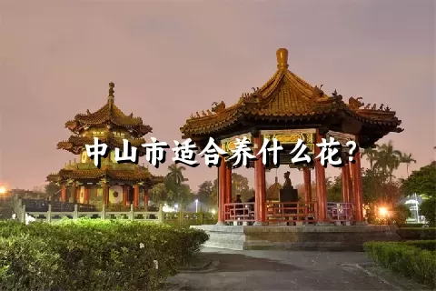 中山市适合养什么花？