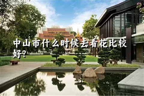 中山市什么时候去看花比较好？