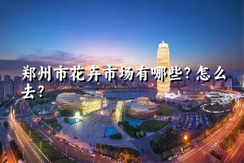 郑州市花卉市场有哪些？怎么去？