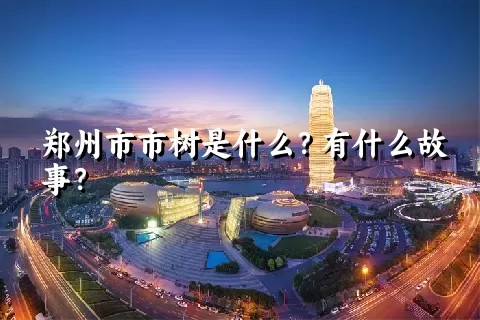 郑州市市树是什么？有什么故事？