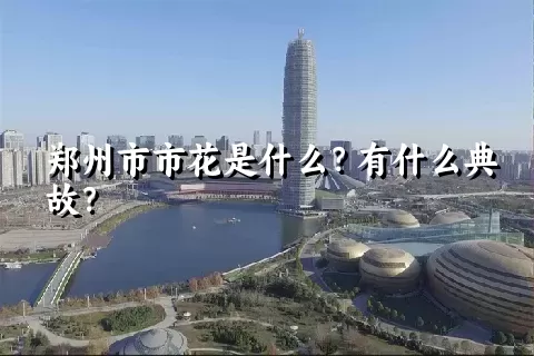 郑州市市花是什么？有什么典故？