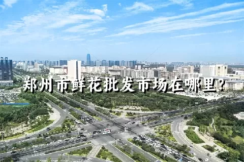 郑州市鲜花批发市场在哪里？