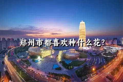 郑州市都喜欢种什么花？