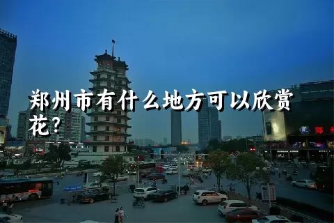 郑州市有什么地方可以欣赏花？