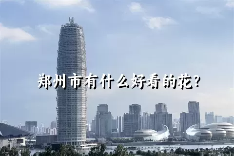 郑州市有什么好看的花？