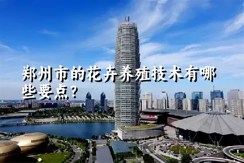 郑州市的花卉养殖技术有哪些要点？