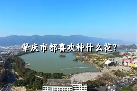 肇庆市都喜欢种什么花？