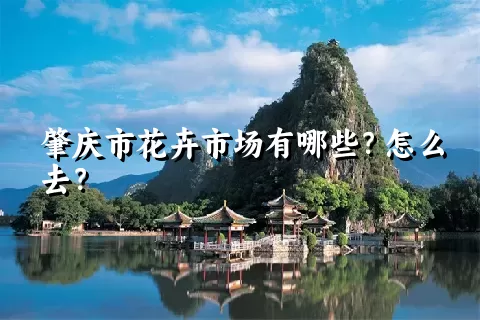 肇庆市花卉市场有哪些？怎么去？