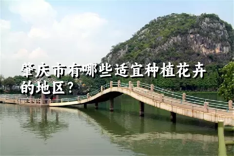 肇庆市有哪些适宜种植花卉的地区？