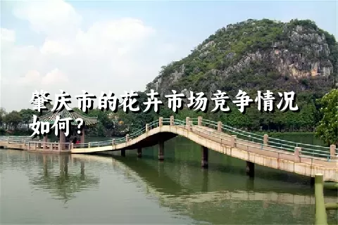 肇庆市的花卉市场竞争情况如何？