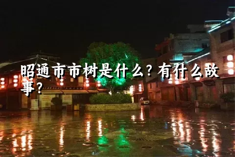 昭通市市树是什么？有什么故事？