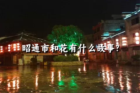 昭通市和花有什么故事？