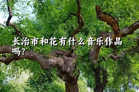 长治市和花有什么音乐作品吗？