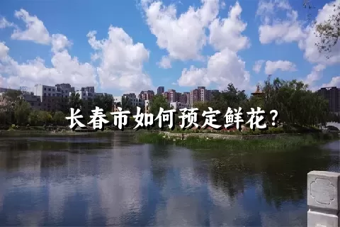 长春市如何预定鲜花？