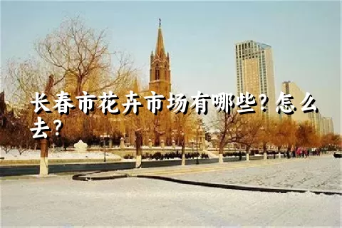 长春市花卉市场有哪些？怎么去？