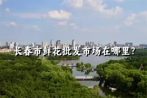 长春市鲜花批发市场在哪里？