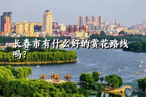 长春市有什么好的赏花路线吗？