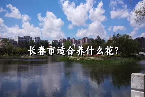 长春市适合养什么花？