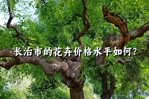 长治市的花卉价格水平如何？