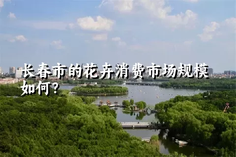 长春市的花卉消费市场规模如何？