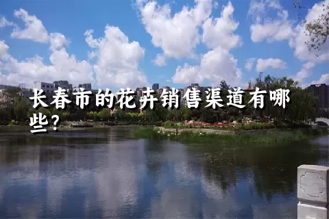 长春市的花卉销售渠道有哪些？