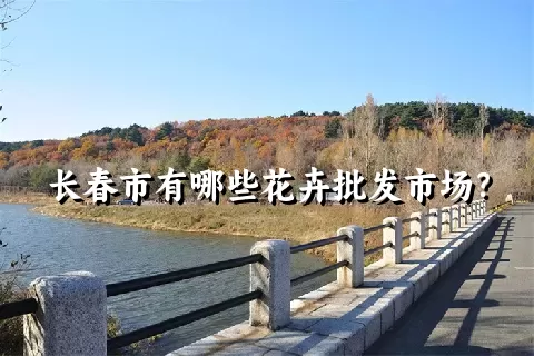 长春市有哪些花卉批发市场？