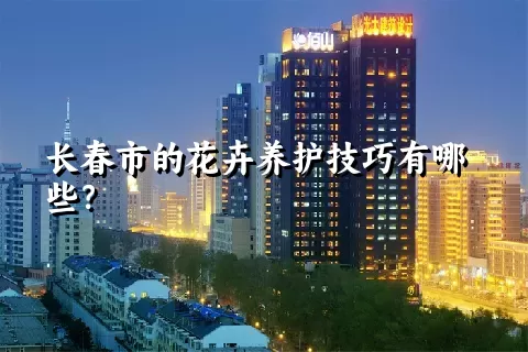 长春市的花卉养护技巧有哪些？