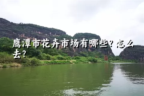 鹰潭市花卉市场有哪些？怎么去？