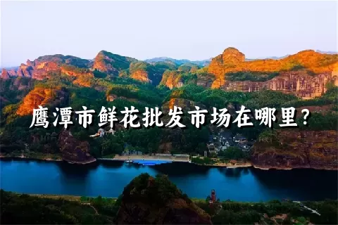 鹰潭市鲜花批发市场在哪里？