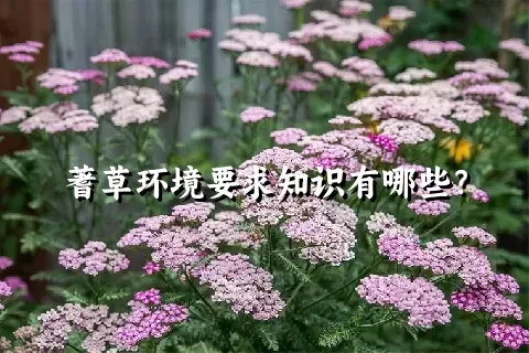 蓍草环境要求知识有哪些？