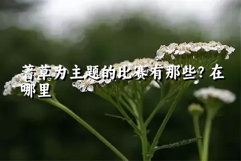 蓍草为主题的比赛有那些？在哪里