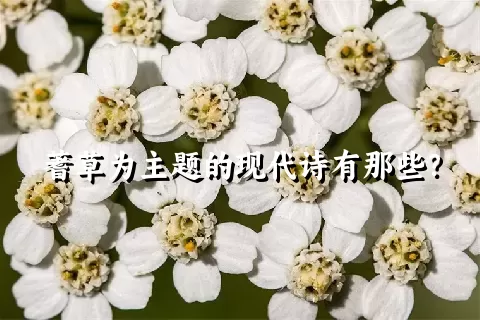 蓍草为主题的现代诗有那些？