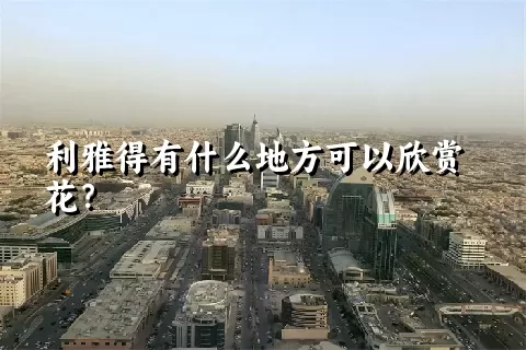 利雅得有什么地方可以欣赏花？