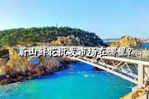 蔚山鲜花批发市场在哪里？