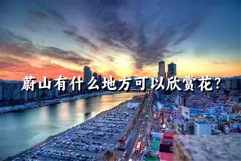 蔚山有什么地方可以欣赏花？