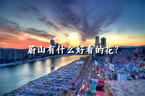 蔚山有什么好看的花？