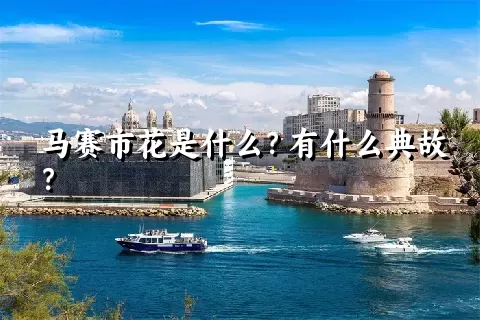 马赛市花是什么？有什么典故？