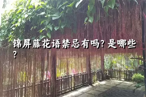 锦屏藤花语禁忌有吗？是哪些？