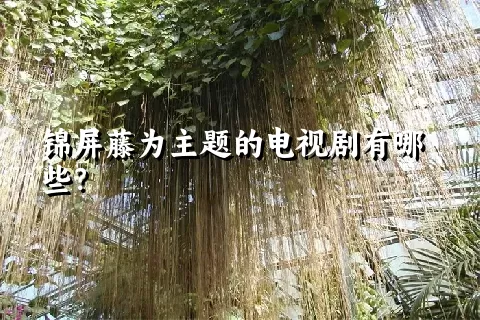 锦屏藤为主题的电视剧有哪些？