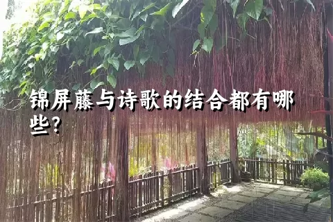 锦屏藤与诗歌的结合都有哪些？