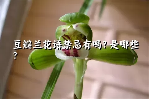 豆瓣兰花语禁忌有吗？是哪些？