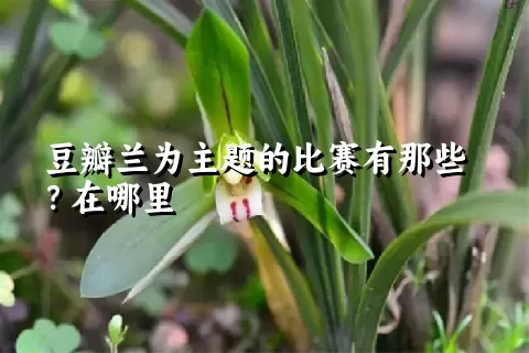 豆瓣兰为主题的比赛有那些？在哪里