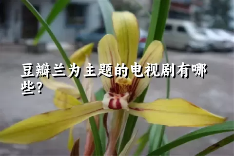 豆瓣兰为主题的电视剧有哪些？