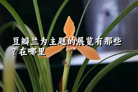 豆瓣兰为主题的展览有那些？在哪里