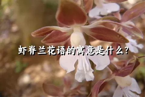 虾脊兰花语的寓意是什么？